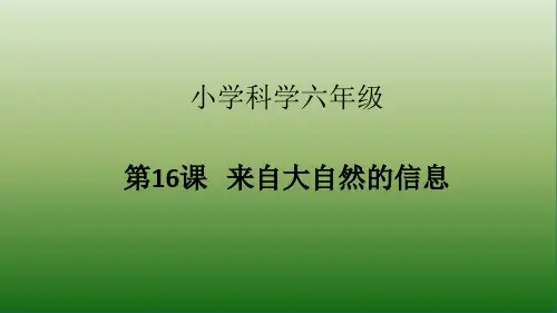 六年级下册科学课件-16 来自大自然的信息-青岛版(共29张PPT)