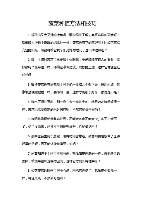 菠菜种植方法和技巧