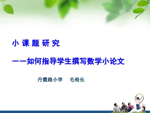 如何指导学生撰写数学小论文11