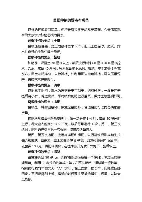 葛根种植的要点有哪些