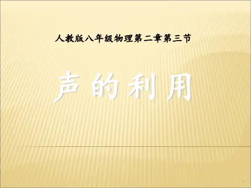 2.3声的利用PPT课件