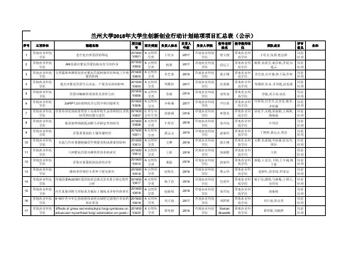 创新创业项目申报表