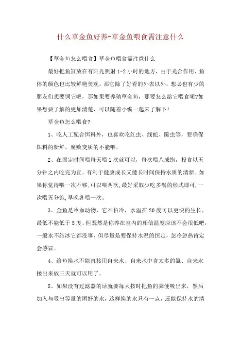 什么草金鱼好养-草金鱼喂食需注意什么