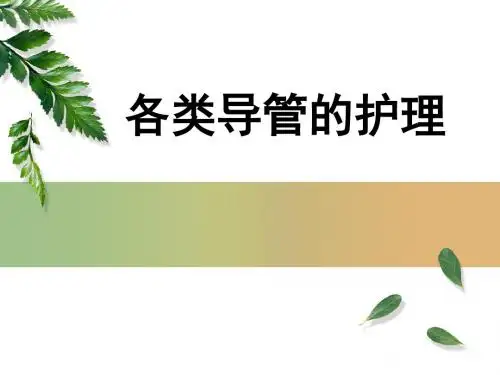 各类导管的护理