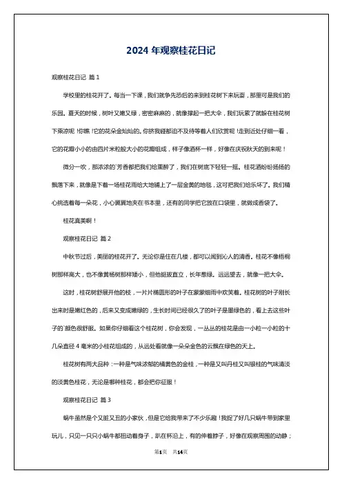 2024年观察桂花日记
