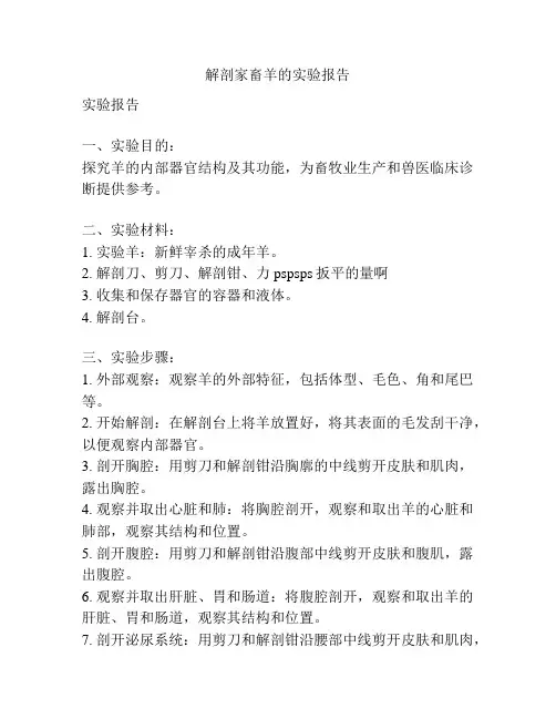解剖家畜羊的实验报告