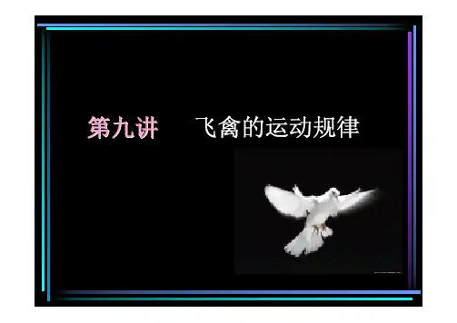 9第九讲 飞禽的运动规律1