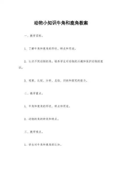 动物小知识牛角和鹿角教案