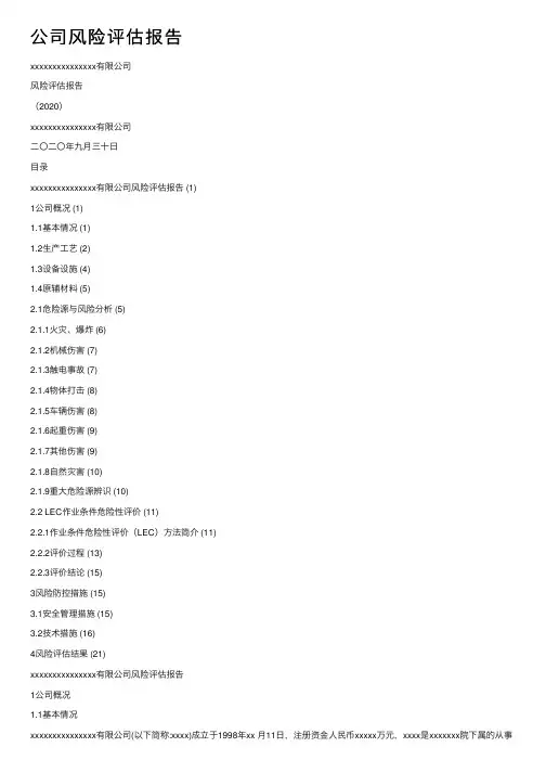公司风险评估报告
