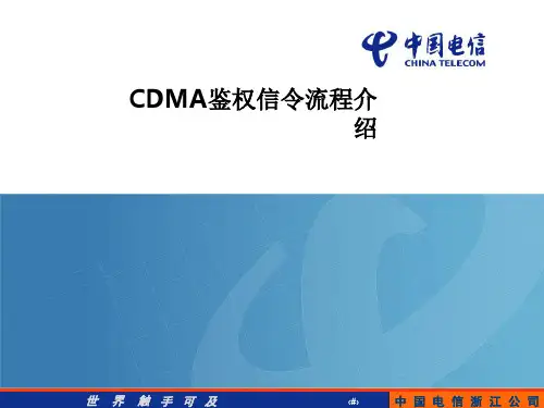 CDMA 鉴权流程培训