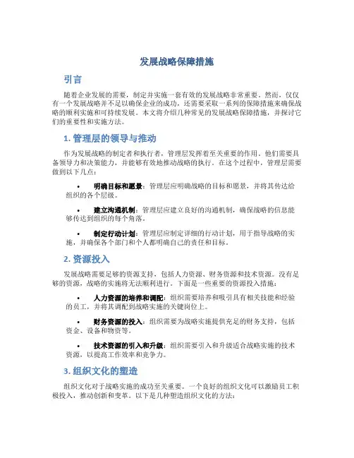 发展战略保障措施