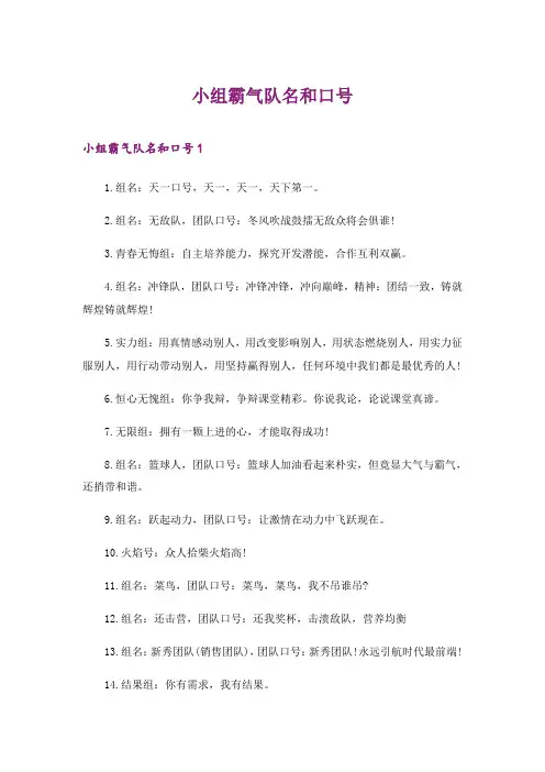 2024年小组霸气队名和口号_1