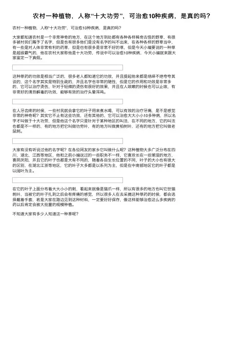 农村一种植物，人称“十大功劳”，可治愈10种疾病，是真的吗？