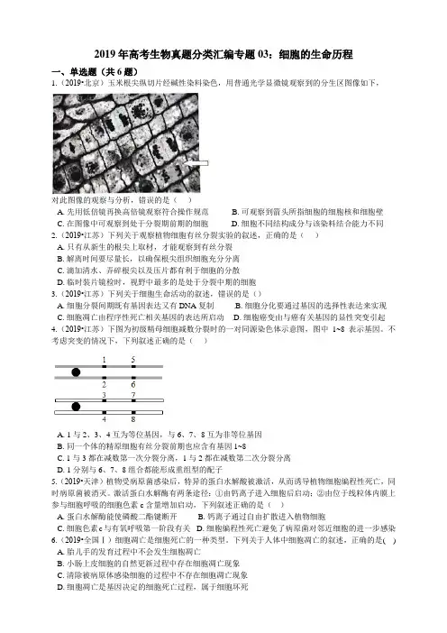 2019年高考生物真题分类汇编专题03：细胞的生命历程