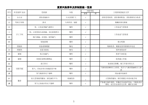 重要风险清单及控制措施一览表
