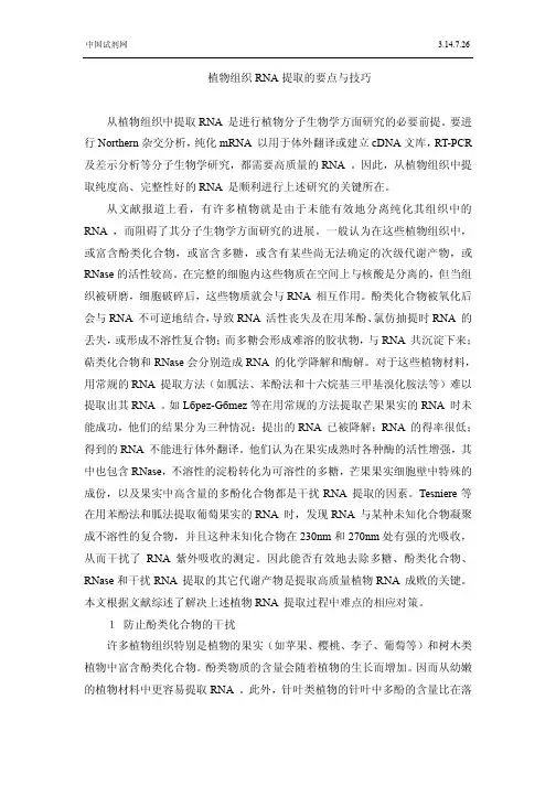 植物组织RNA提取的要点与技巧从植物组织中提取RNA
