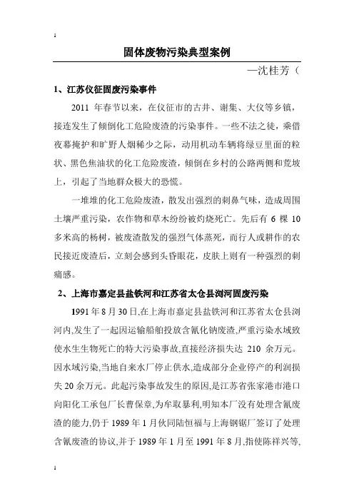 固体废物污染典型案例
