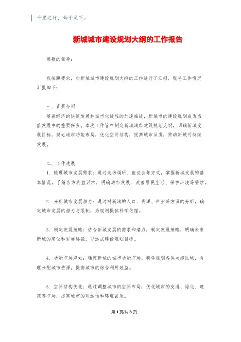 新城城市建设规划大纲的工作报告
