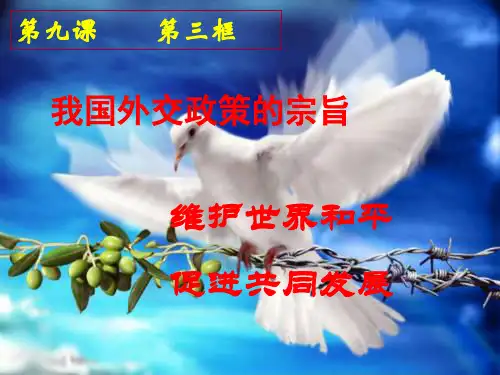 独立自主的和平外交政策