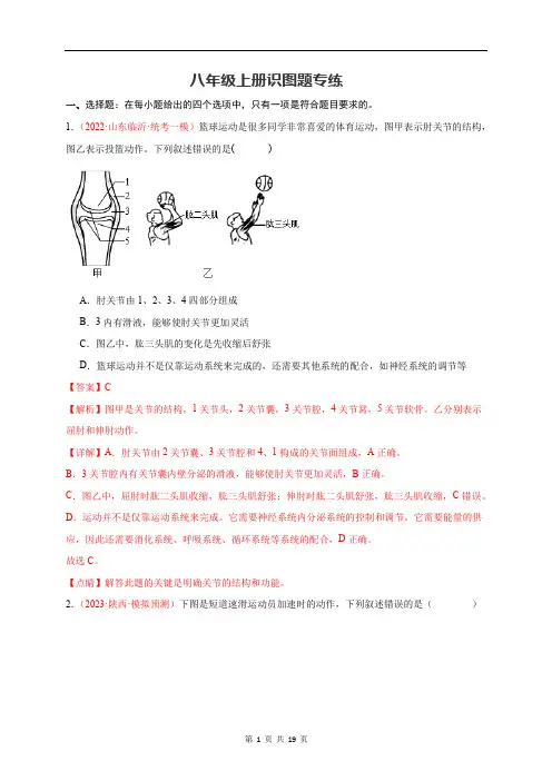 八年级上册识图题专练(解析版)