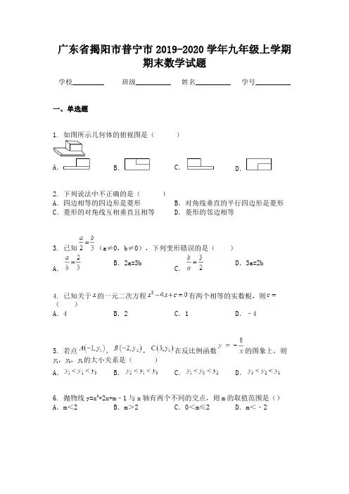 广东省揭阳市普宁市2019-2020学年九年级上学期期末数学试题