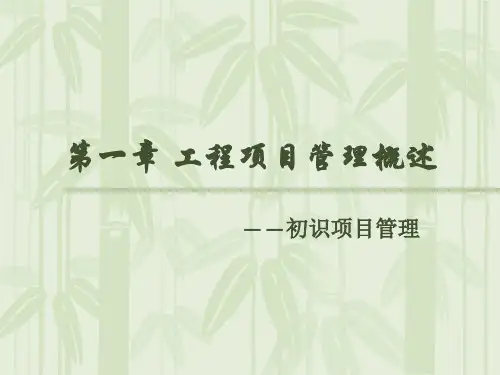 工程项目管理第二.ppt课件