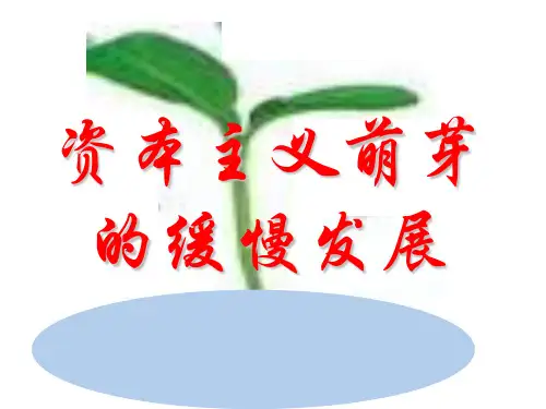 《资本主义萌芽的缓慢发展_用