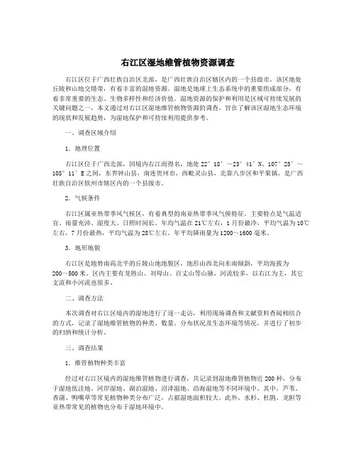 右江区湿地维管植物资源调查