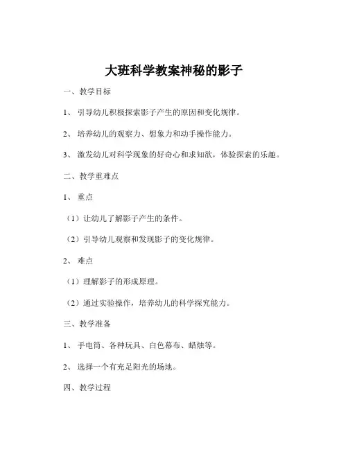 大班科学教案神秘的影子