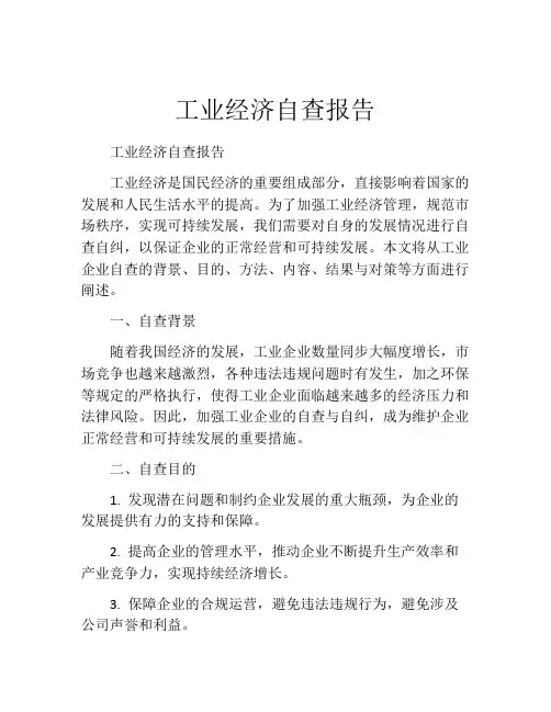 工业经济自查报告
