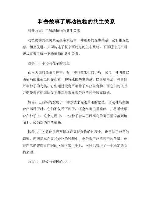科普故事了解动植物的共生关系