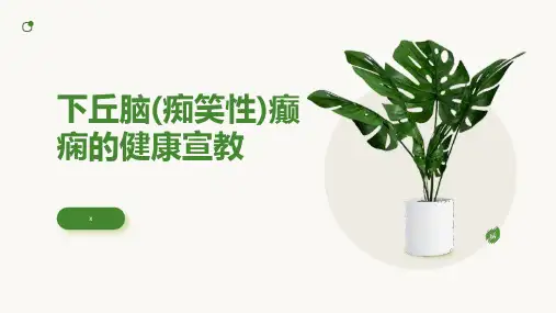 下丘脑PPT课件