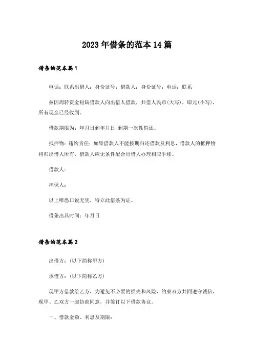 2023年借条的范本14篇
