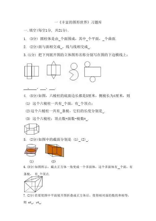 一《丰富的图形世界》习题库