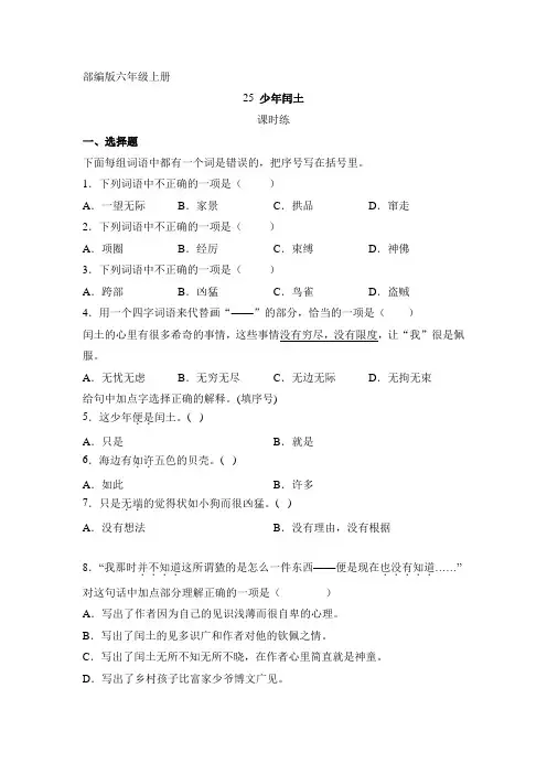 人教版小学语文六年级上册语文部编版课时练第25课《少年闰土》01(含答案)