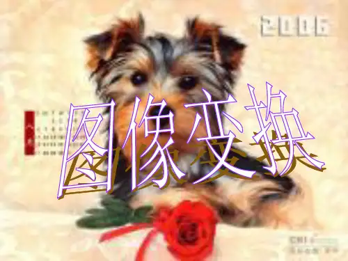 二维图像傅里叶变换