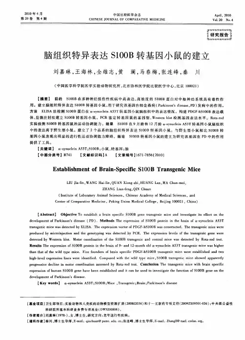 脑组织特异表达S100B转基因小鼠的建立