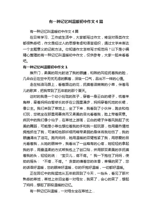 有一种记忆叫温暖初中作文4篇