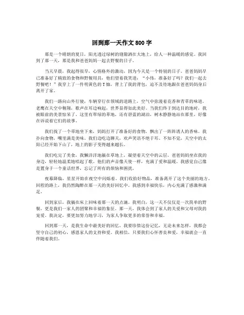 回到那一天作文800字