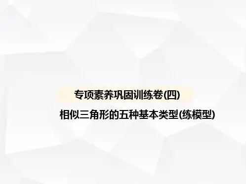 北师大版初中九年级数学上册专项素养巩固训练卷(四)相似三角形的五种基本类型(练模型)课件