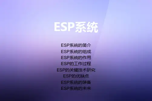 ESP系统
