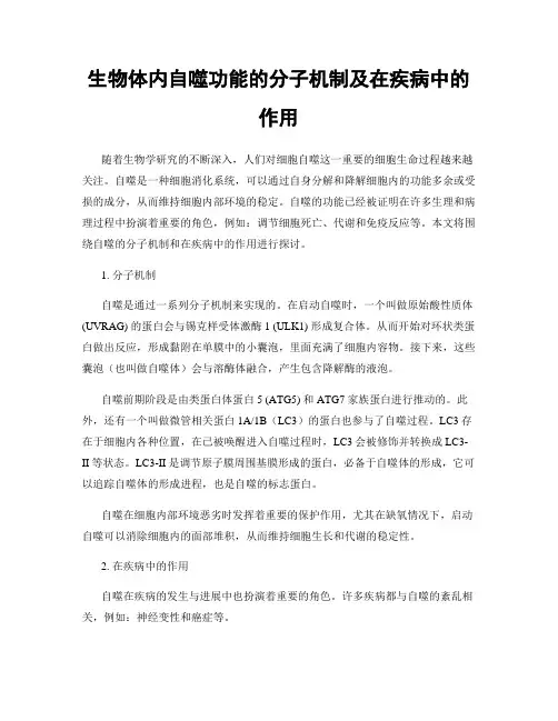 生物体内自噬功能的分子机制及在疾病中的作用
