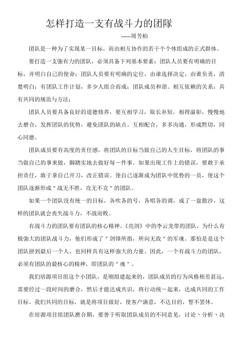 怎样打造一支有战斗力的团队