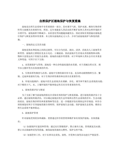 自然保护区湿地保护与恢复措施