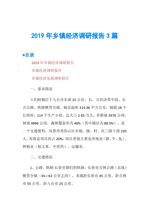 2019年乡镇经济调研报告3篇
