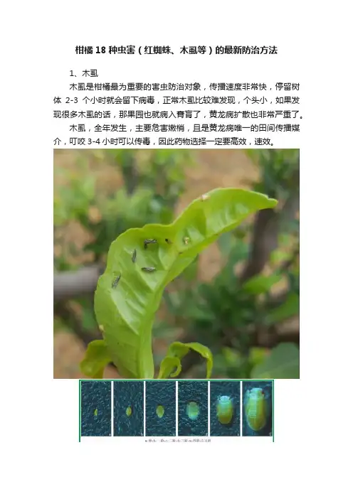 柑橘18种虫害（红蜘蛛、木虱等）的最新防治方法