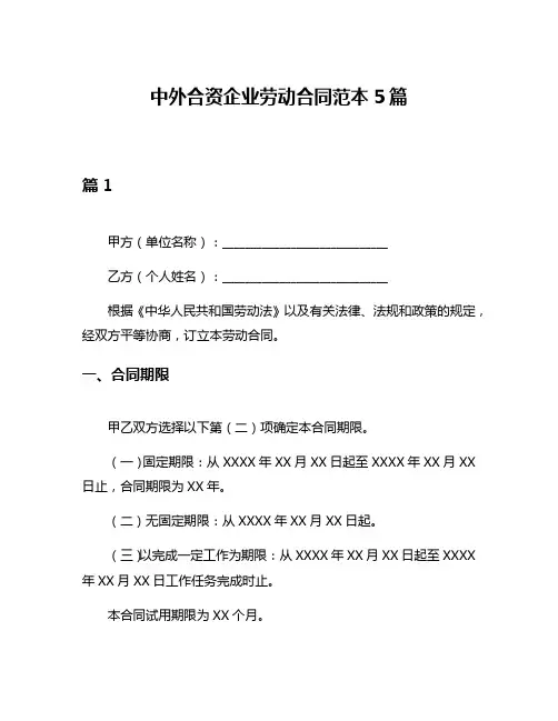 中外合资企业劳动合同范本5篇