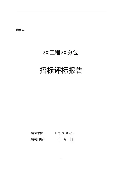评标报告范本