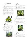 春兰铭品介绍