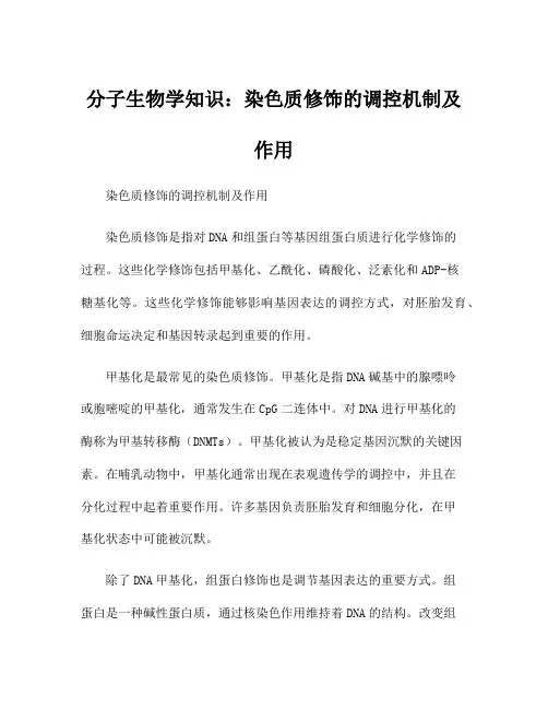 分子生物学知识：染色质修饰的调控机制及作用